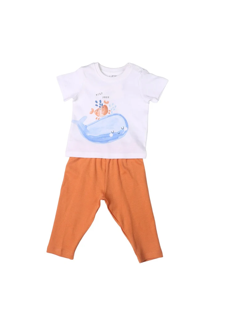 HOP Baby Boys Multicolour Printed Cotton T-Shirt and Pants Set - Exclusive - Image 2