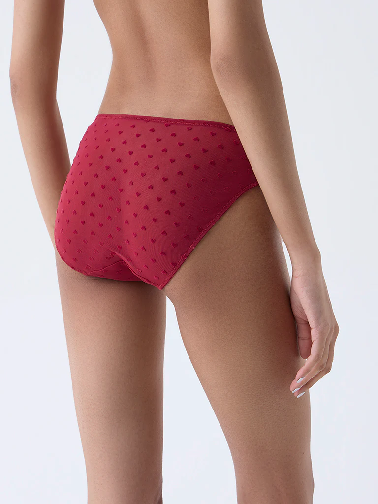 Superstar Red Mesh Detailed Bikini Briefs - Image 4