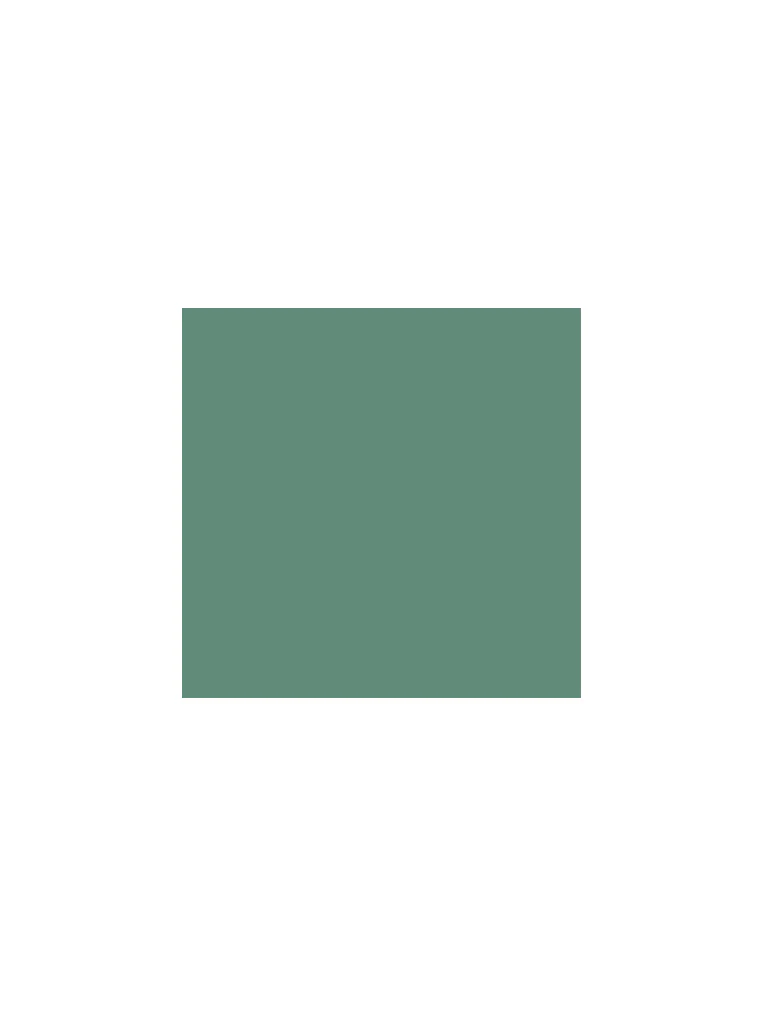 WES Casuals Green Relaxed-Fit Cotton Swimwear T-Shirt - Image 2