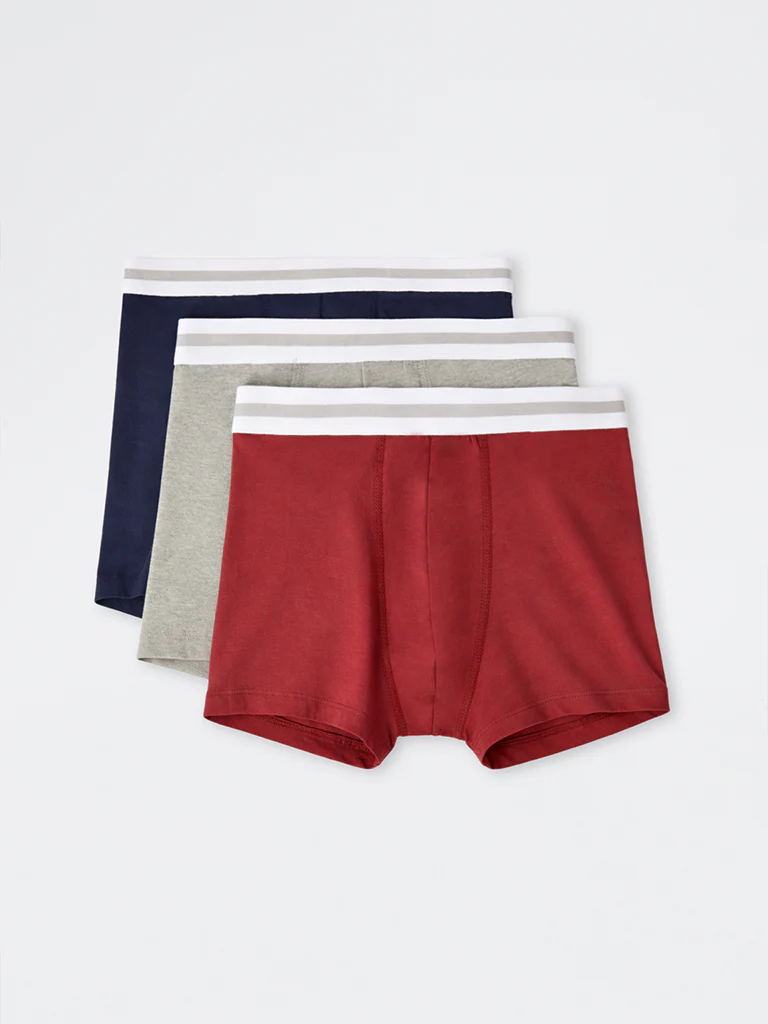 WES Lounge Multicolor Solid Trunks - Pack of 3