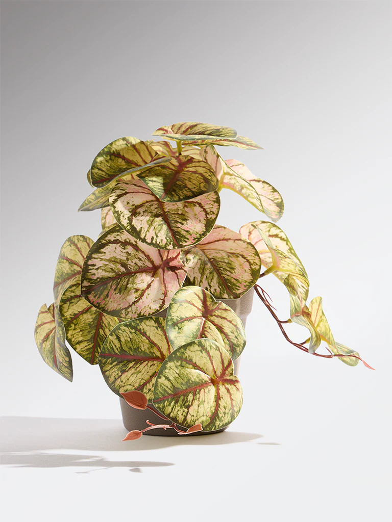 Westside Home Green and Pink Artificial Caladium Plant - Small