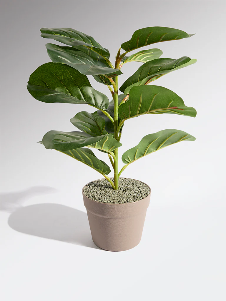 Westside Home Green Artificial Fiddle Plant - Small - Image 2