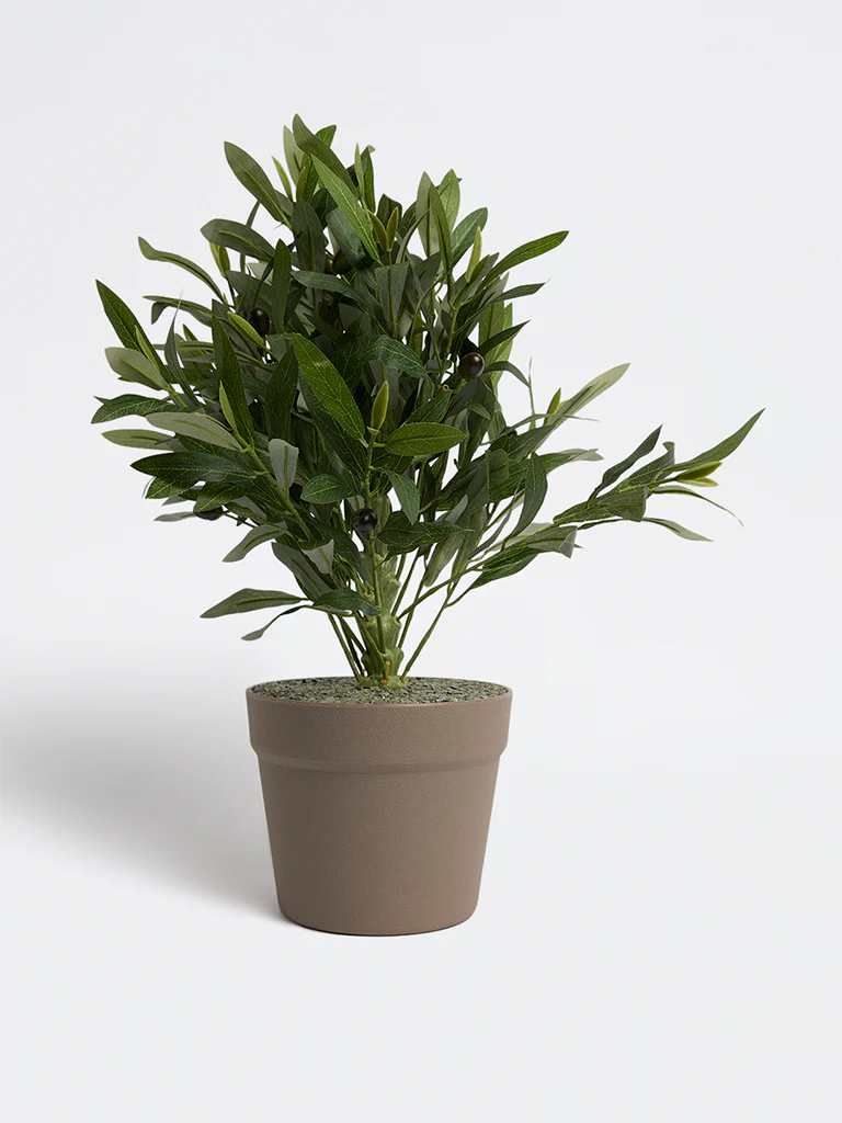 Westside Home Green Artificial Olive Plant