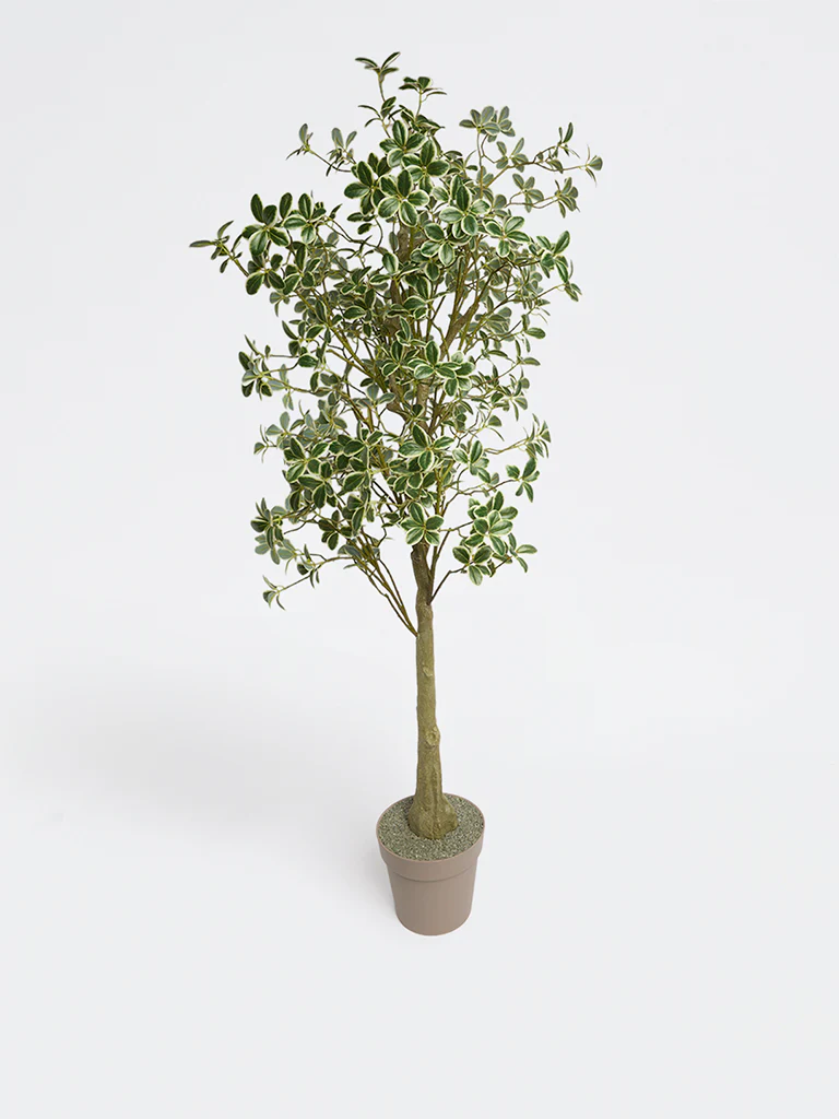Westside Home Green Japanese Spindle Artificial Plant - Image 2