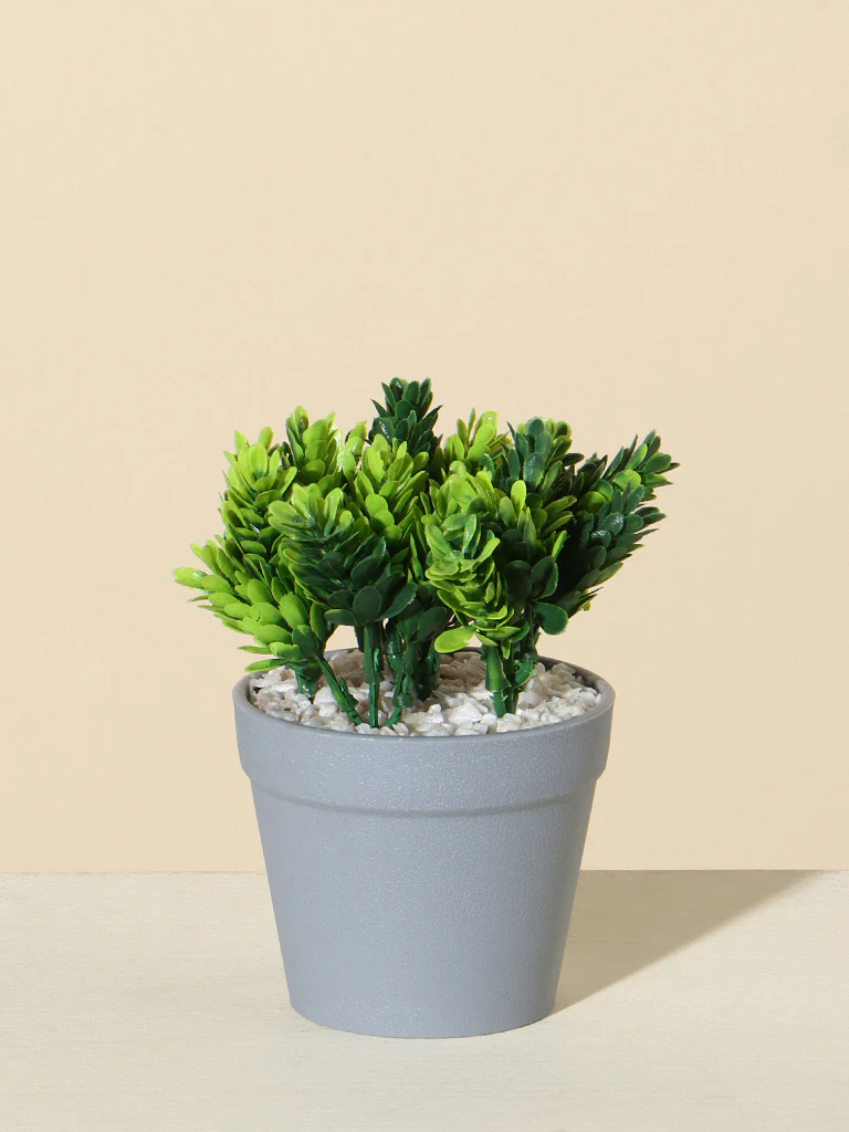 Westside Home Green Pinecone Plant - Image 2