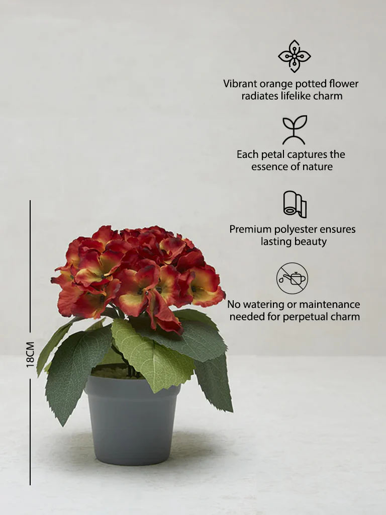 Westside Home Orange Potted Flower - Image 5