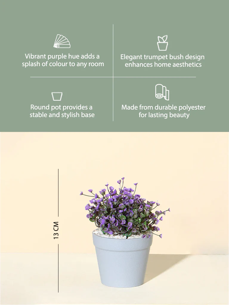 Westside Home Purple Decorative Trumpet Bush Plant - Image 4