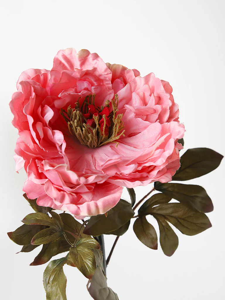 Westside Home Soft Pink Peony Flower